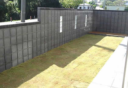 �G�N�X�e���A�{�H��