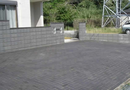 �G�N�X�e���A�{�H��