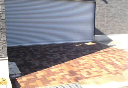 �G�N�X�e���A�{�H��