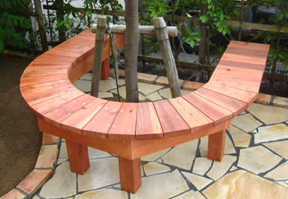 �G�N�X�e���A�{�H��